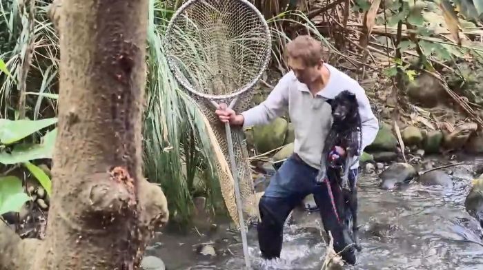 黑狗受困湍急溪流，八里動物之家即刻救援守護生命